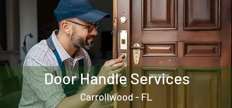 Door Handle Services Carrollwood - FL