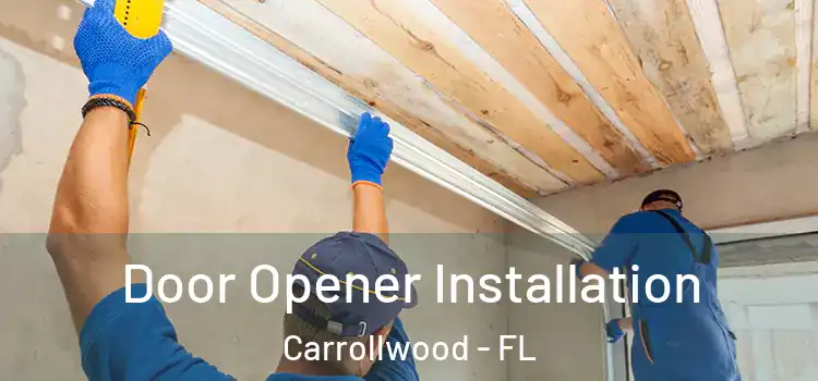  Door Opener Installation Carrollwood - FL