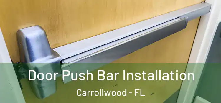 Door Push Bar Installation Carrollwood - FL