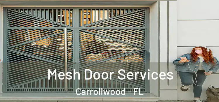 Mesh Door Services Carrollwood - FL
