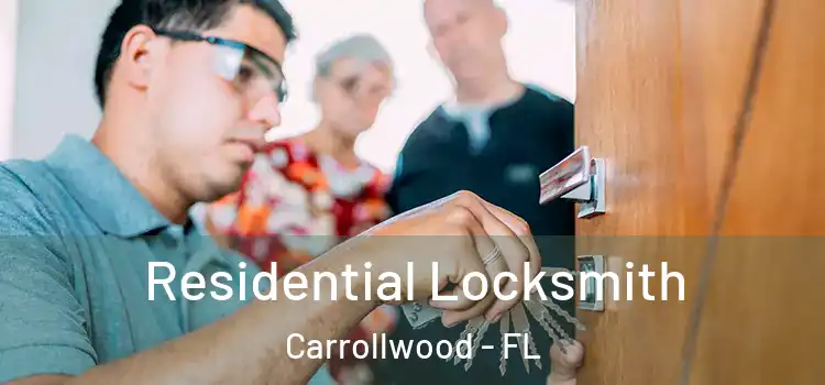 Residential Locksmith Carrollwood - FL