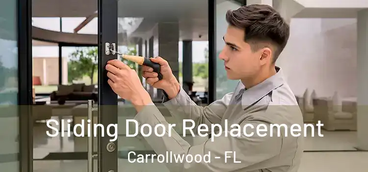 Sliding Door Replacement Carrollwood - FL